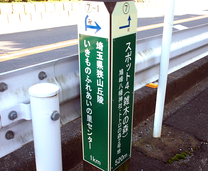 荒幡富士市民の森→鳩峯公園
