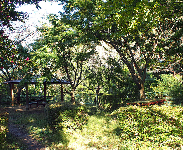 荒幡富士市民の森、東広場